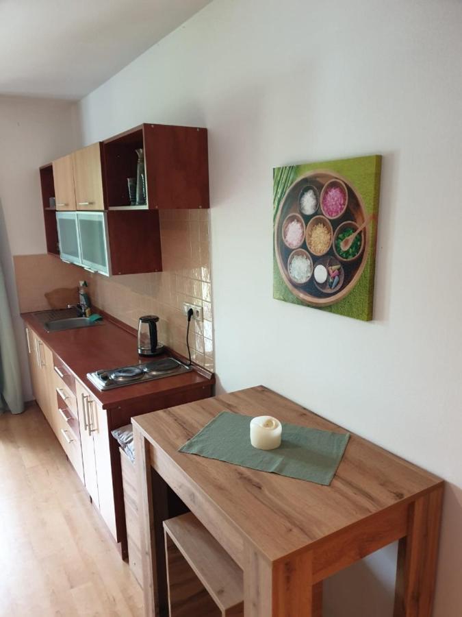 Apartman Zelezna Ruda Apartment Železná Ruda