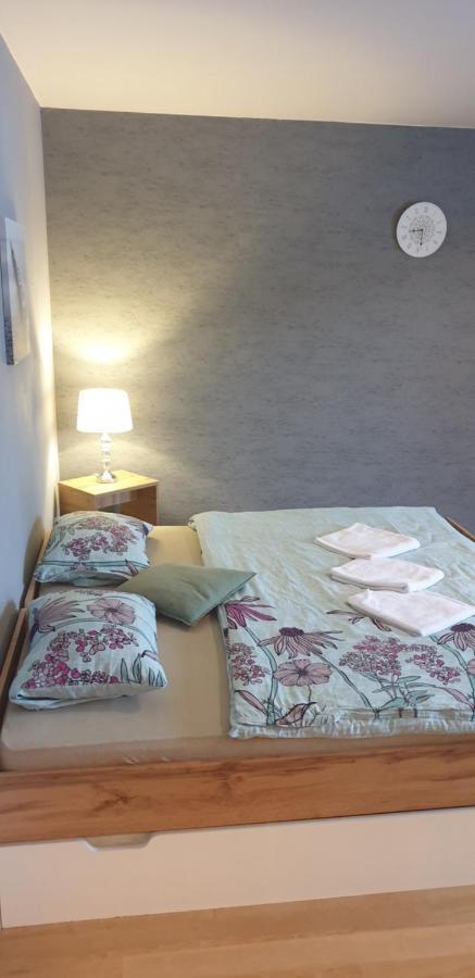 Apartman Zelezna Ruda Apartment