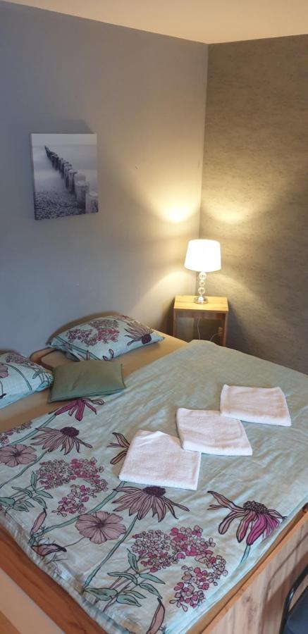 Apartman Zelezna Ruda *