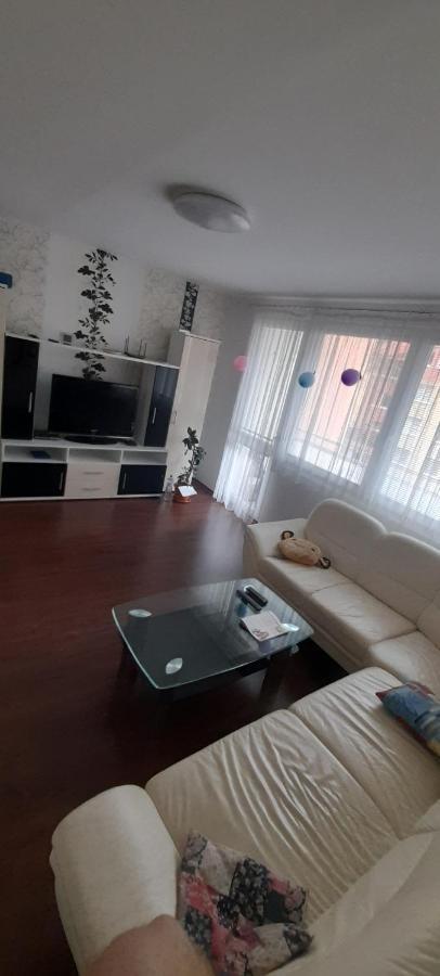 Apartman Zelezna Ruda