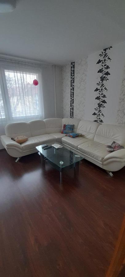 Apartman Zelezna Ruda *