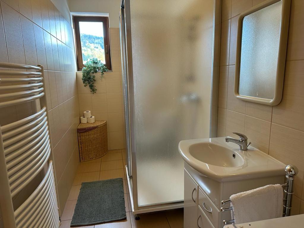 Apartman Zelezna Ruda *
