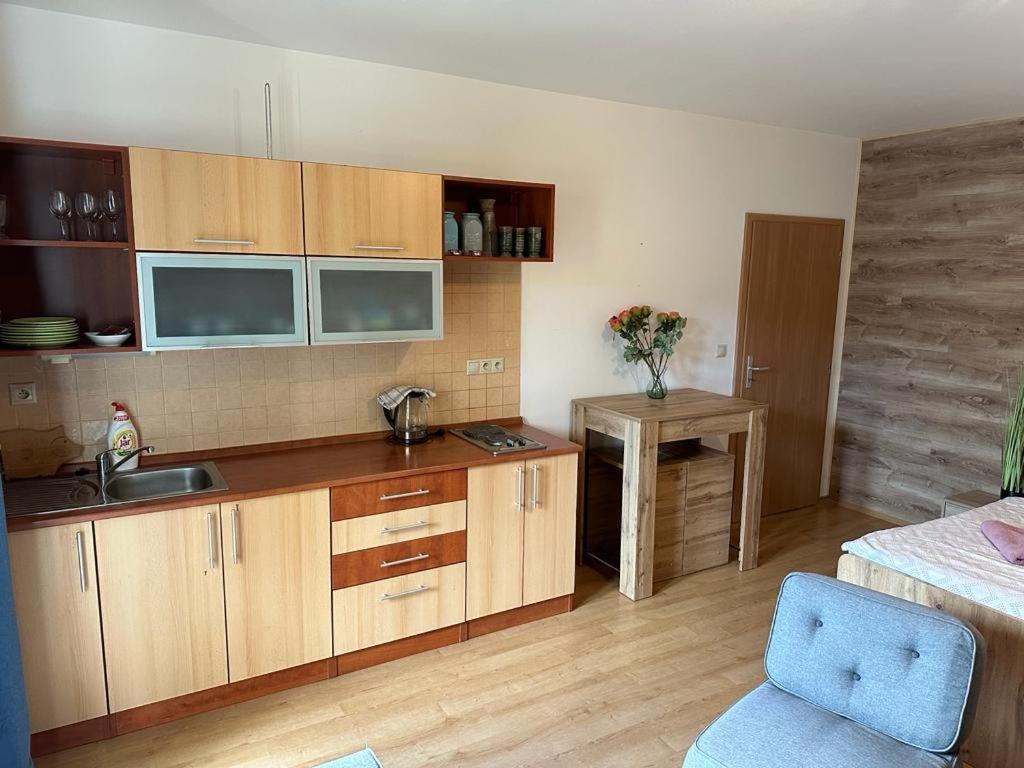 Apartman Zelezna Ruda